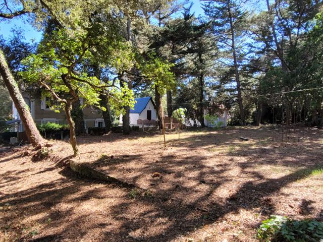 Saint Brevin les Pins Vente Terrain 44