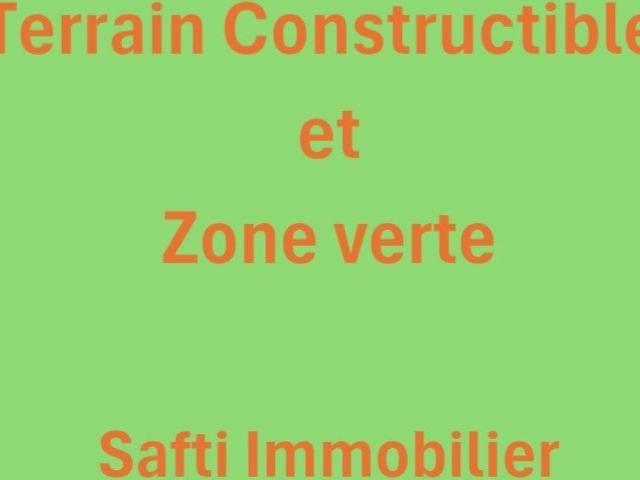 Saint Brice sur Vienne Vente Terrain 87