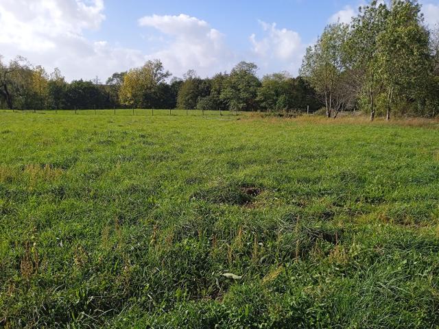 Saint Caprais de Blaye Vente Terrain 33
