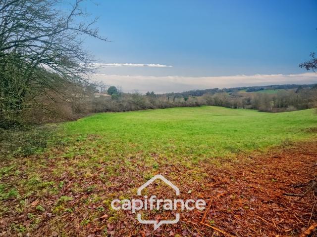 Saint Caprais de Lerm Vente Terrain 47