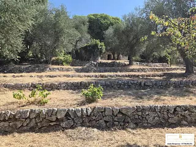 Saint Cézaire sur Siagne 06530 Achat / Vente maison 6 pièces t6