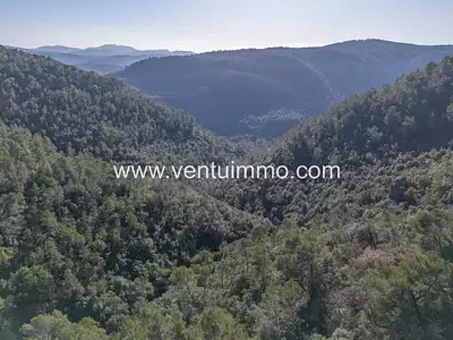 Saint Cézaire sur Siagne 06530 Achat / Vente terrain