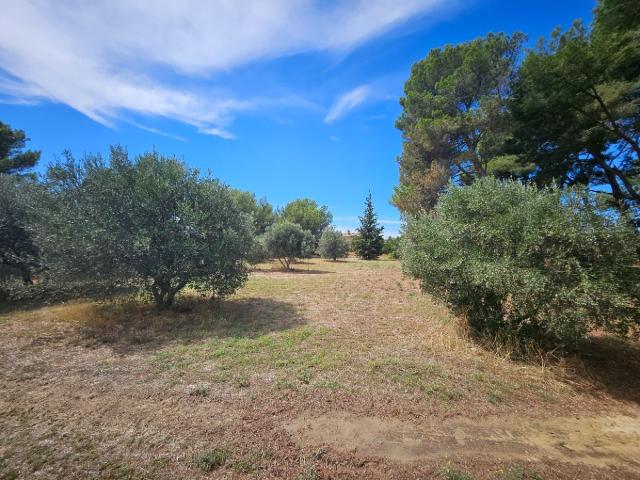 Saint Chamas Vente Terrain 13
