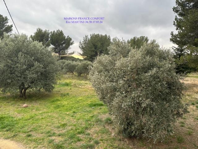 Saint Chamas Vente Terrain 13