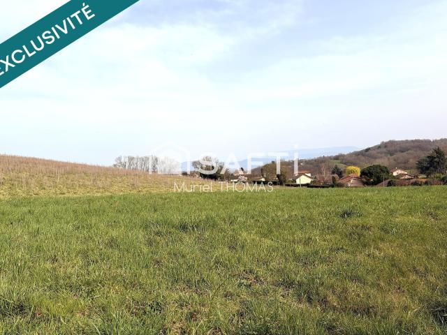 Saint Chef Vente Terrain 38