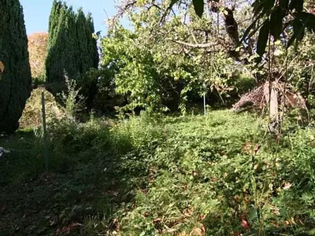 Saint Chéron 91530 Achat / Vente terrain