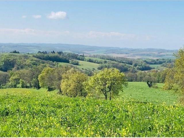 Saint Christaud Vente Terrain 32
