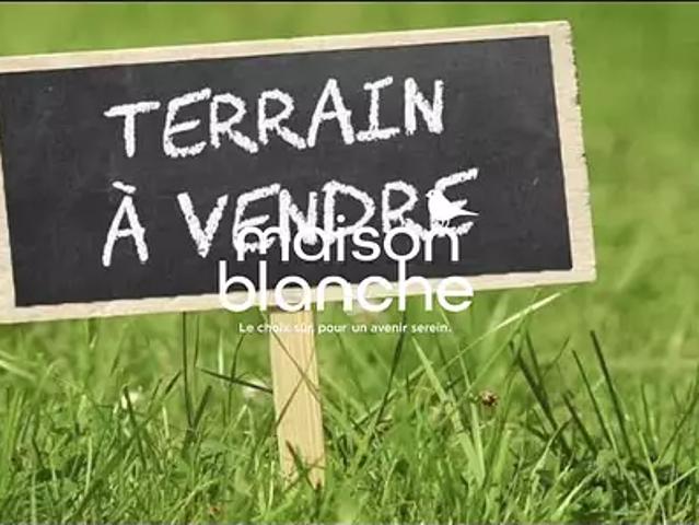 Saint Ciers d'Abzac 33910 Achat / Vente terrain