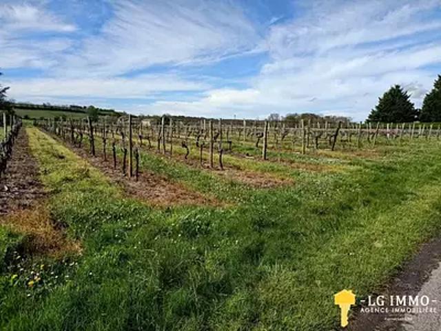 Saint Ciers du Taillon 17240 Achat / Vente terrain