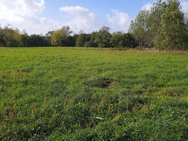 Saint Ciers sur Gironde Vente Terrain 33
