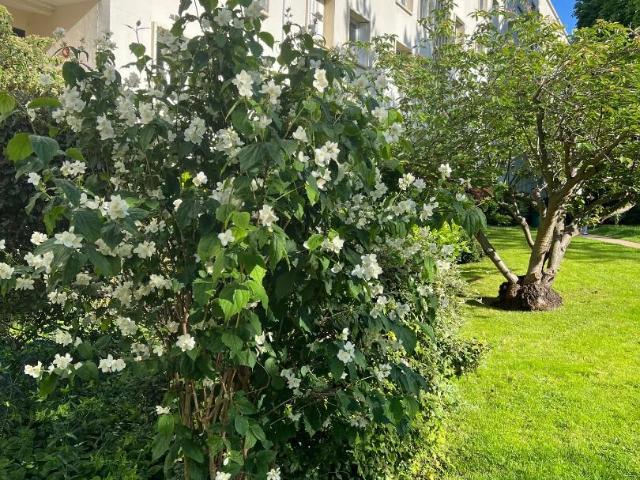 Saint Cloud val d'or