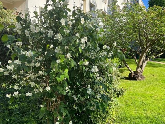 Saint Cloud val d'or