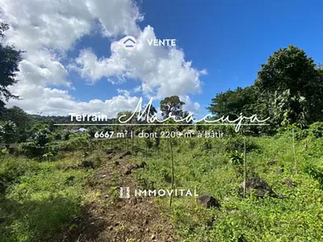 Saint Claude 97120 Achat / Vente terrain