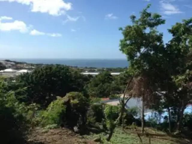 Saint Claude 97120 Achat / Vente terrain