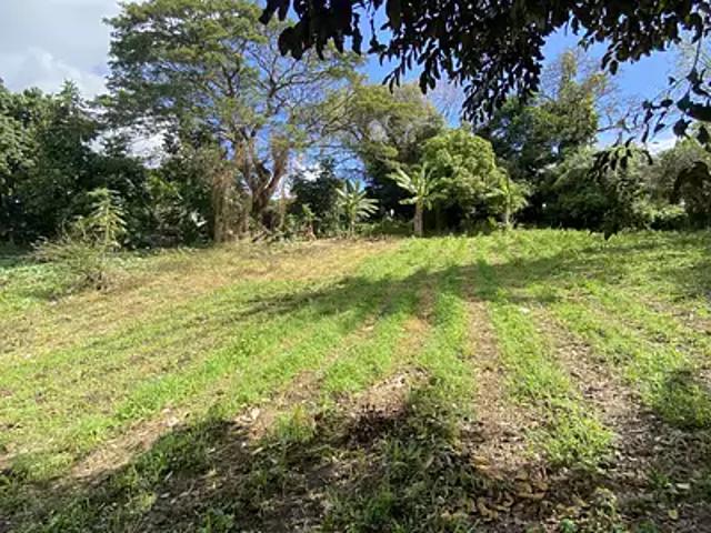 Saint Claude 97120 Achat / Vente terrain