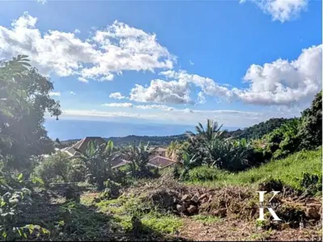 Saint Claude 97120 Achat / Vente terrain