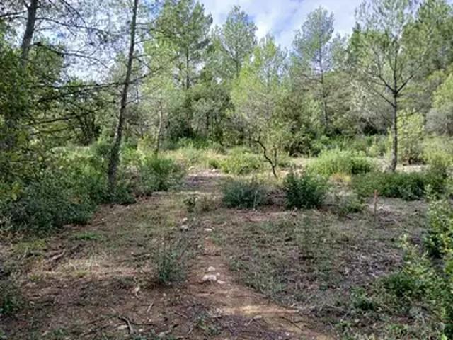 Saint Clément de Rivière 34980 Programme neuf terrain neuf à vendre