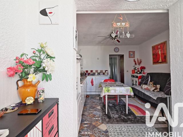 Saint Cyprien Vente Appartement 66