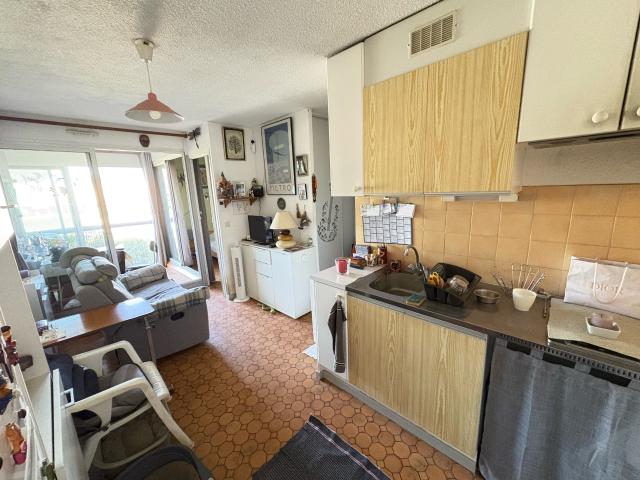Saint Cyprien Vente Appartement 66