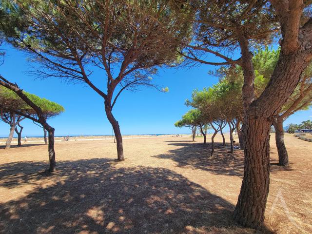 Saint Cyprien Vente Appartement 66