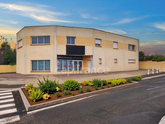 Saint Cyprien Vente Immeuble 66