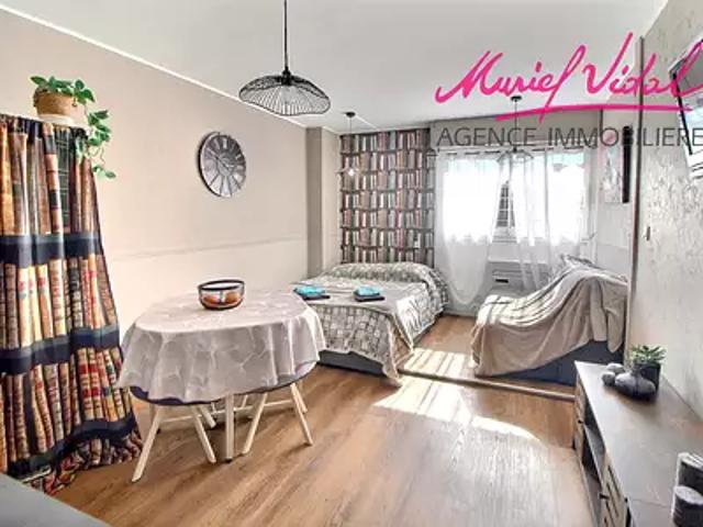 Saint Cyprien 66750 Achat / Vente appartement 1 pièce t1