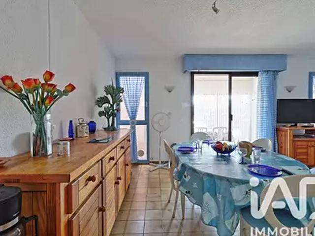 Saint Cyprien 66750 Achat / Vente appartement 3 pièces t3