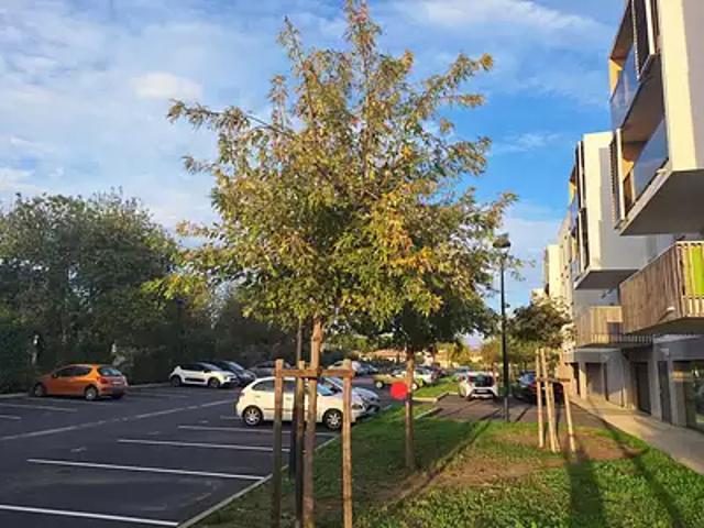 Saint Cyprien 66750 Achat / Vente divers