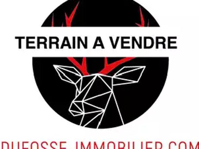 Saint Cyprien 66750 Achat / Vente terrain