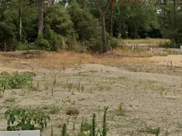Saint Cyr des Gâts 85410 Programme neuf terrain neuf à vendre