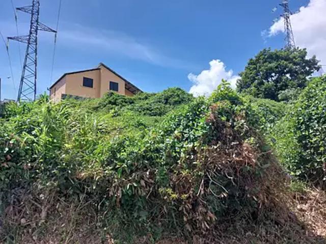 Saint Denis 97490 Achat / Vente terrain