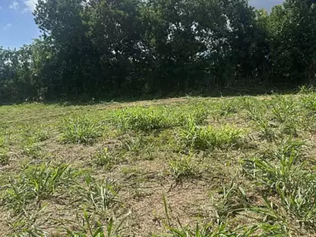 Saint Denis 97400 Achat / Vente terrain