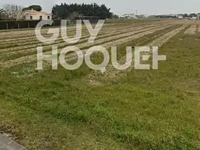 Saint Denis d'Oléron 17650 Achat / Vente terrain