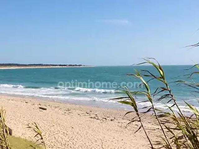 Saint Denis d'Oléron 17650 Achat / Vente terrain