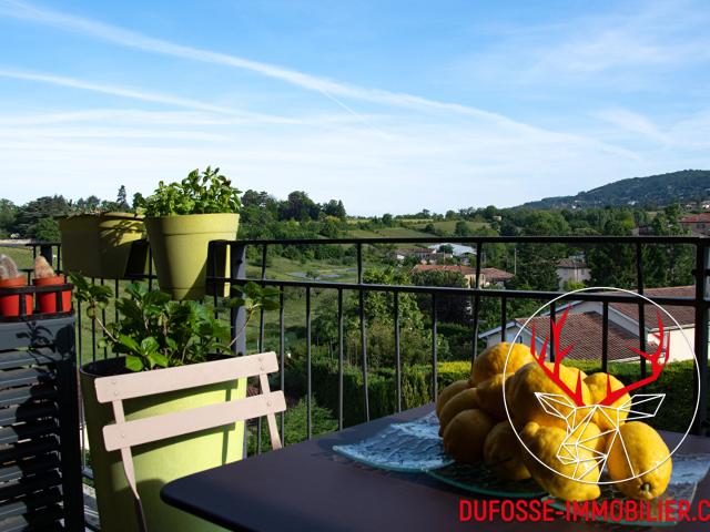 Saint Didier au Mont d'Or Vente Appartement 69