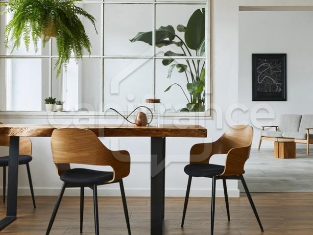 Saint Didier au Mont d'Or Vente Appartement 69