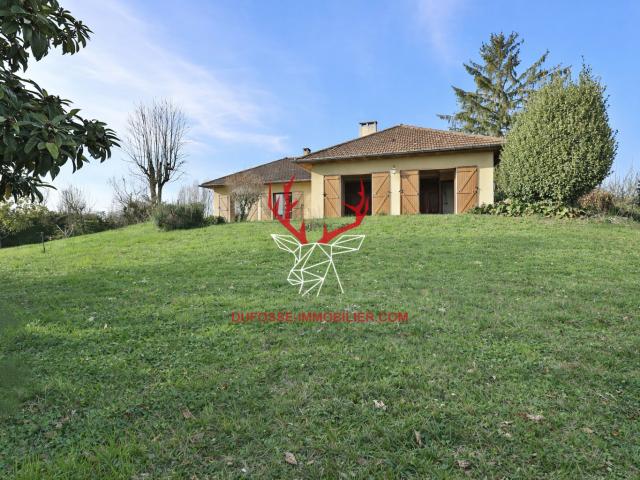 Saint Didier au Mont d'Or Vente Maison 69