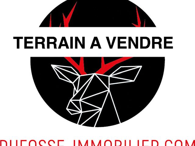 Saint Didier au Mont d'Or Vente Terrain 69
