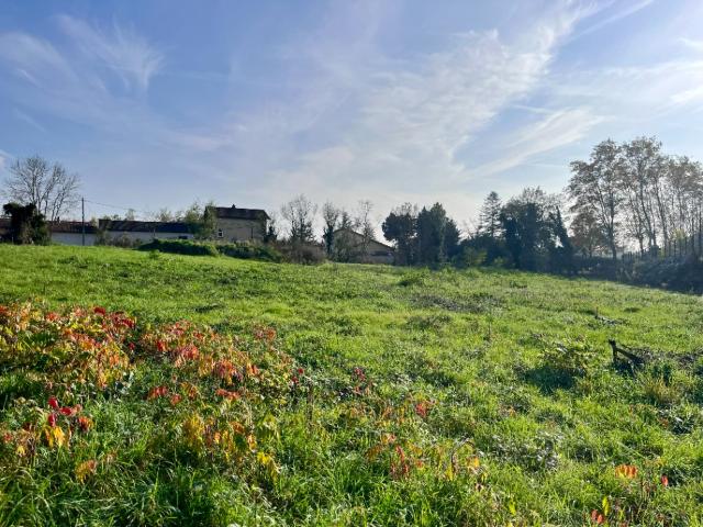Saint Didier de Formans Vente Terrain 01