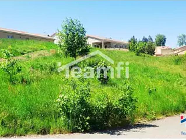 Saint Didier en Velay 43140 Achat / Vente terrain