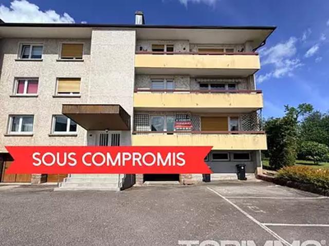 Saint Dié des Vosges 88100 Achat / Vente appartement 5 pièces t5 cave