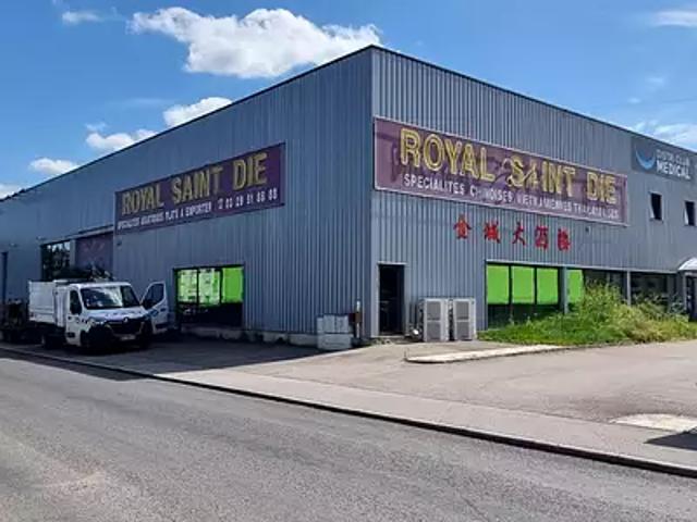 Saint Dié des Vosges 88100 Achat / Vente divers