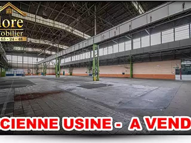Saint Dié des Vosges 88100 Achat / Vente divers
