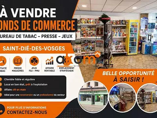 Saint Dié des Vosges 88100 Achat / Vente divers
