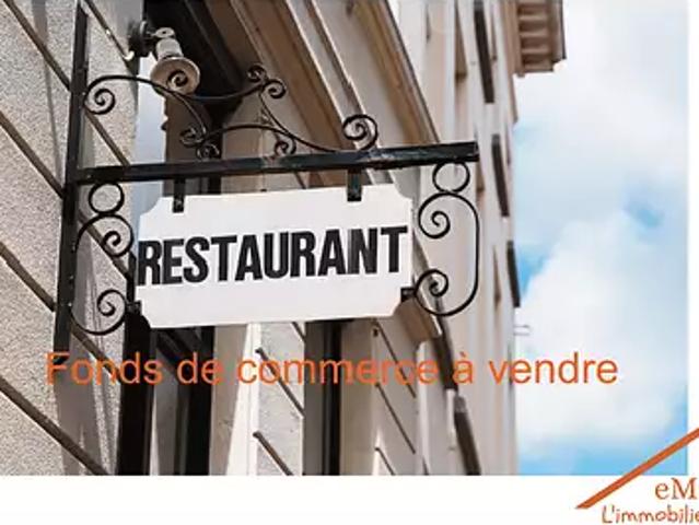 Saint Dié des Vosges 88100 Achat / Vente divers