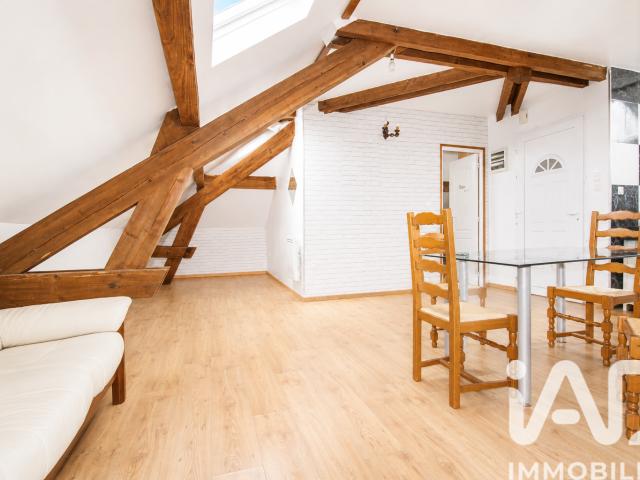 Saint Dié des Vosges Vente Appartement 88