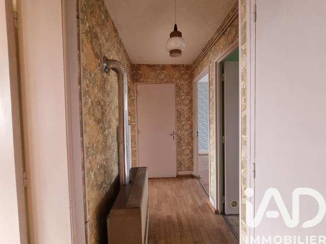 Saint Dié des Vosges Vente Appartement 88