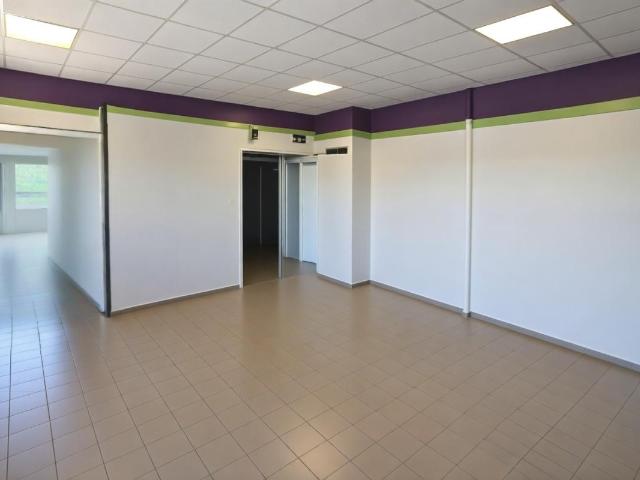 Saint Dié des Vosges Vente Appartement 88