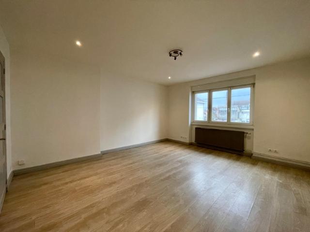 Saint Dié des Vosges Vente Appartement 88
