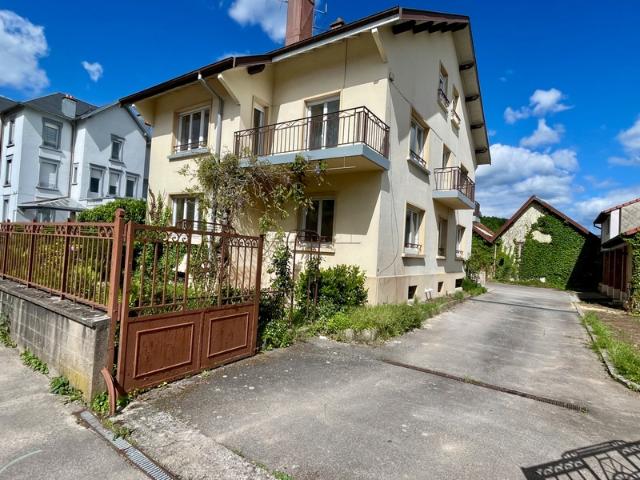 Saint Dié des Vosges Vente Appartement 88